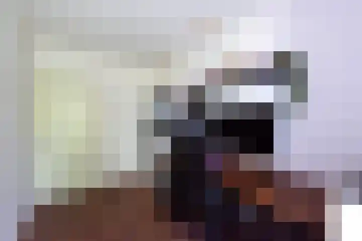 Nachtschade 2 Arnhem thumbnail 23