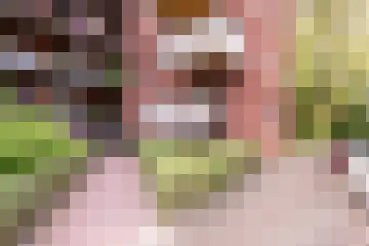 Nachtschade 2 Arnhem thumbnail 26