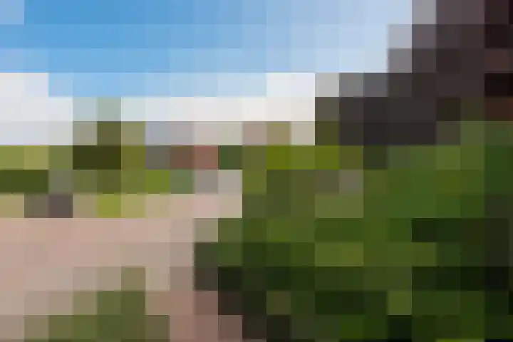 Nachtschade 2 Arnhem thumbnail 27
