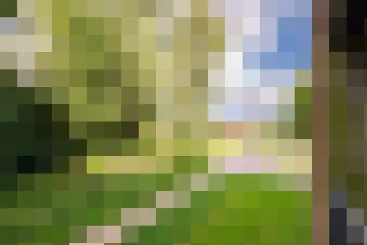 Nachtschade 2 Arnhem thumbnail 28