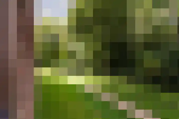 Nachtschade 2 Arnhem thumbnail 29