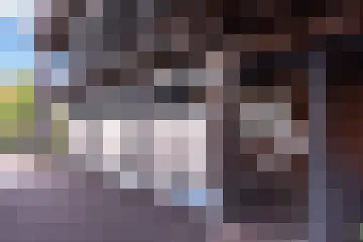 Nachtschade 2 Arnhem thumbnail 30