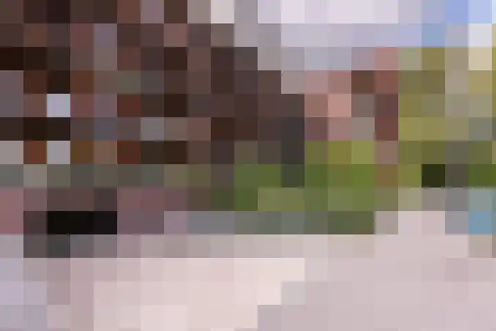 Nachtschade 2 Arnhem thumbnail 32