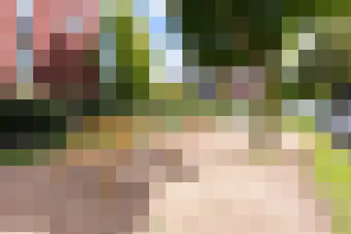 Nachtschade 2 Arnhem thumbnail 33