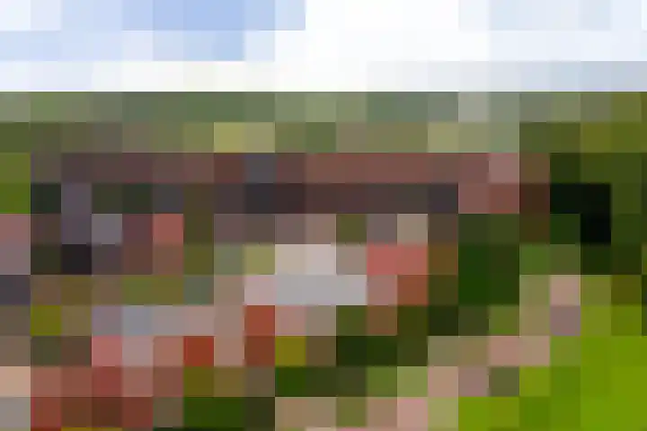 Nachtschade 2 Arnhem thumbnail 34