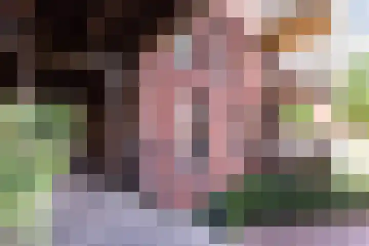 Nachtschade 2 Arnhem thumbnail 4