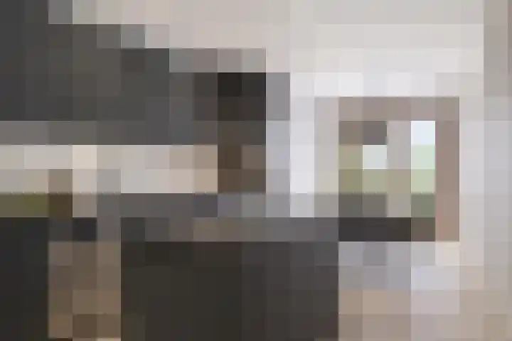 Nachtschade 94 Arnhem thumbnail 10