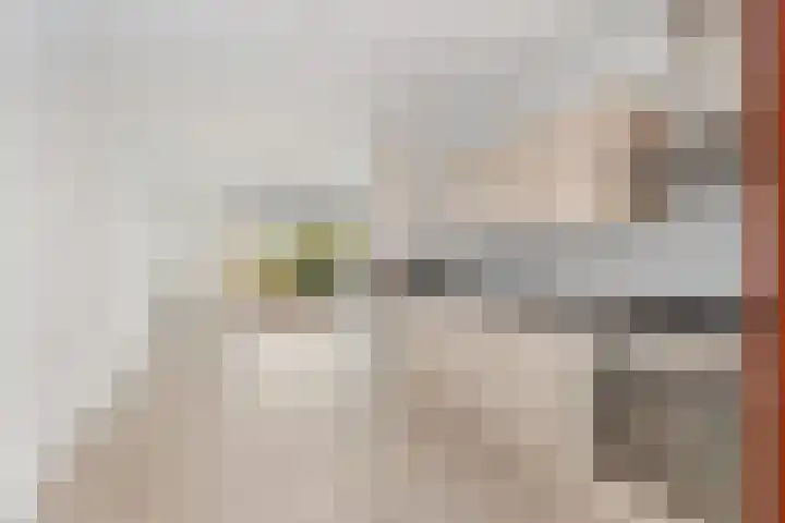 Nachtschade 94 Arnhem thumbnail 12