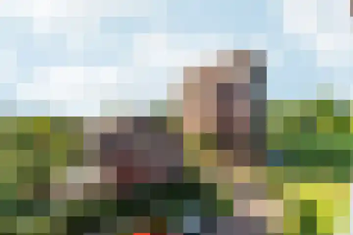 Nachtschade 94 Arnhem thumbnail 24