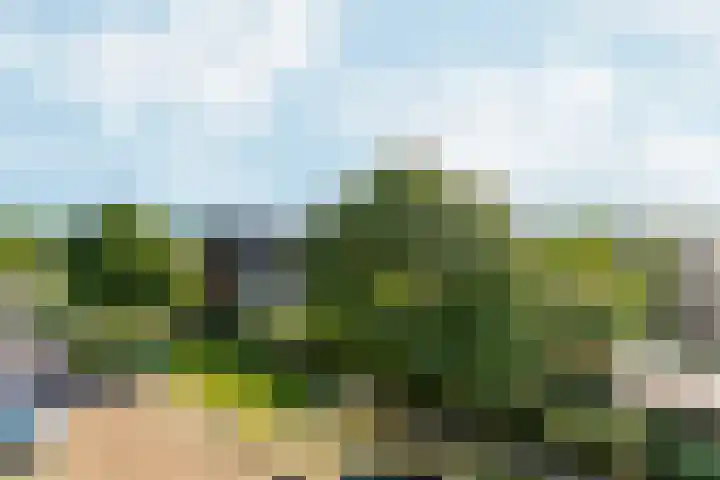 Nachtschade 94 Arnhem thumbnail 25