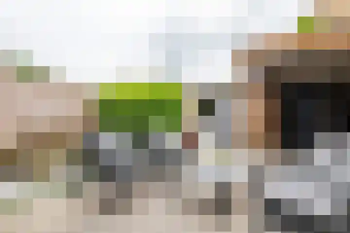 Nachtschadestraat 33 Nieuw-Vennep thumbnail 20
