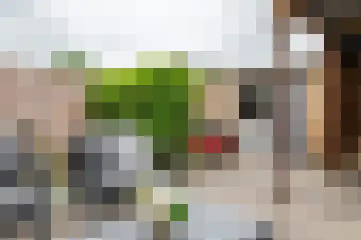 Nachtschadestraat 33 Nieuw-Vennep thumbnail 22