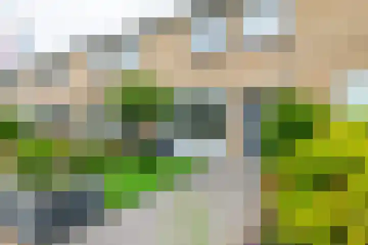 Nachtschadestraat 33 Nieuw-Vennep thumbnail 6