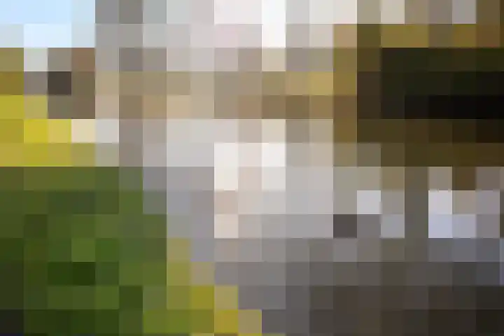 Nachtschadestraat 68 Nieuw-Vennep thumbnail 35