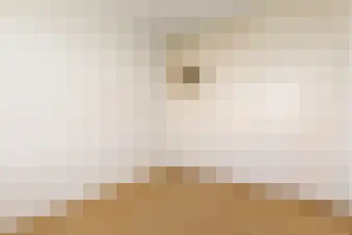 Nachtwachtlaan 112 Amsterdam thumbnail 18