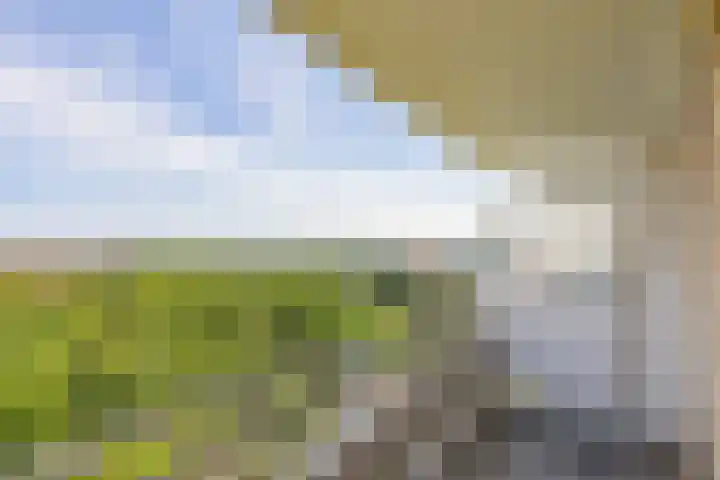 Nachtwachtlaan 112 Amsterdam thumbnail 5