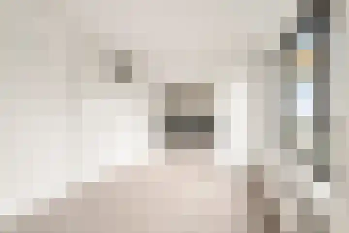 Nachtwachtlaan 115 Amsterdam thumbnail 12