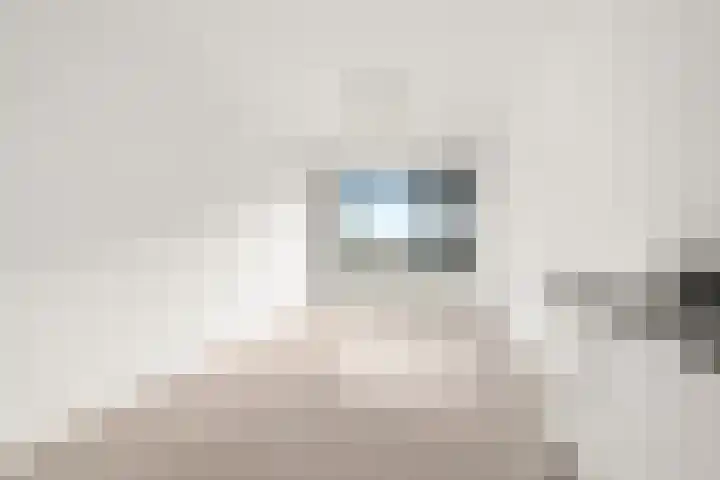 Nachtwachtlaan 115 Amsterdam thumbnail 14