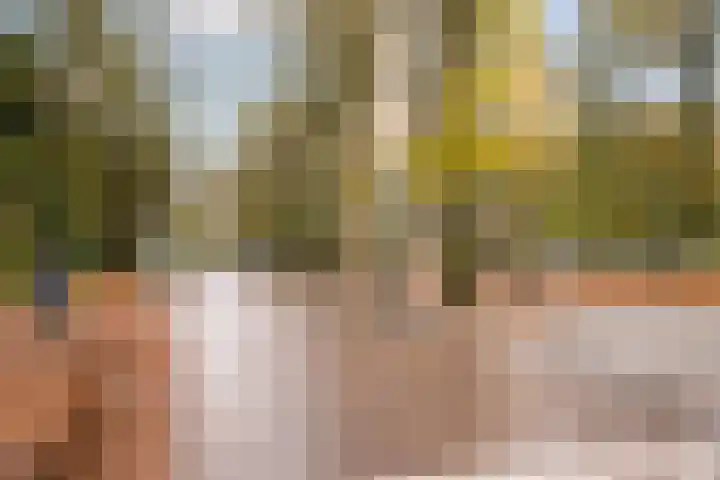 Nachtwachtlaan 115 Amsterdam thumbnail 28