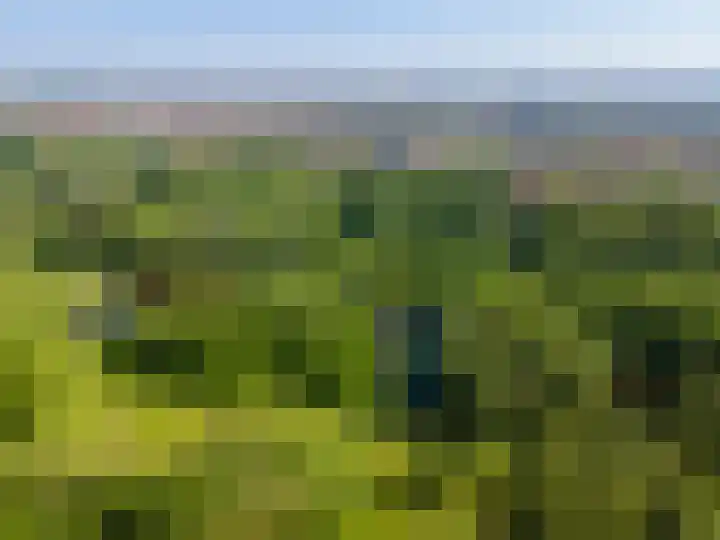 Nachtwachtlaan 115 Amsterdam thumbnail 29