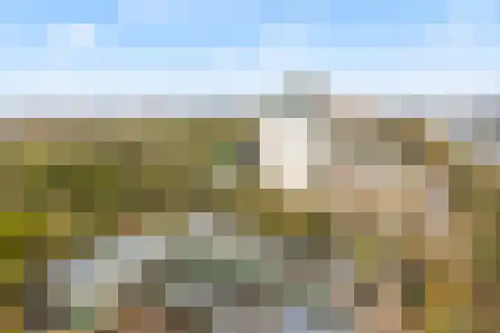 Nachtwachtlaan 115 Amsterdam thumbnail 7