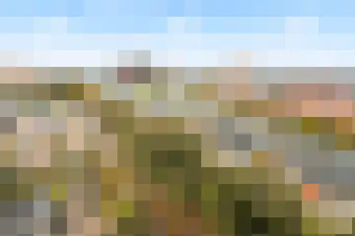 Nachtwachtlaan 115 Amsterdam thumbnail 8