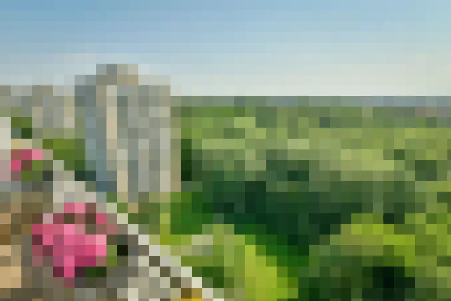 Nachtwachtlaan 119 Amsterdam thumbnail 21