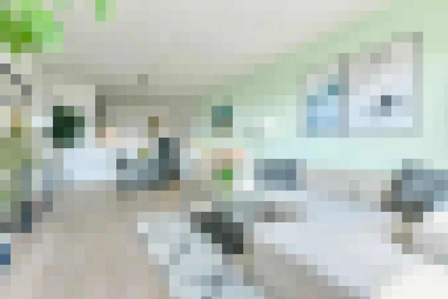 Nachtwachtlaan 119 Amsterdam thumbnail 5