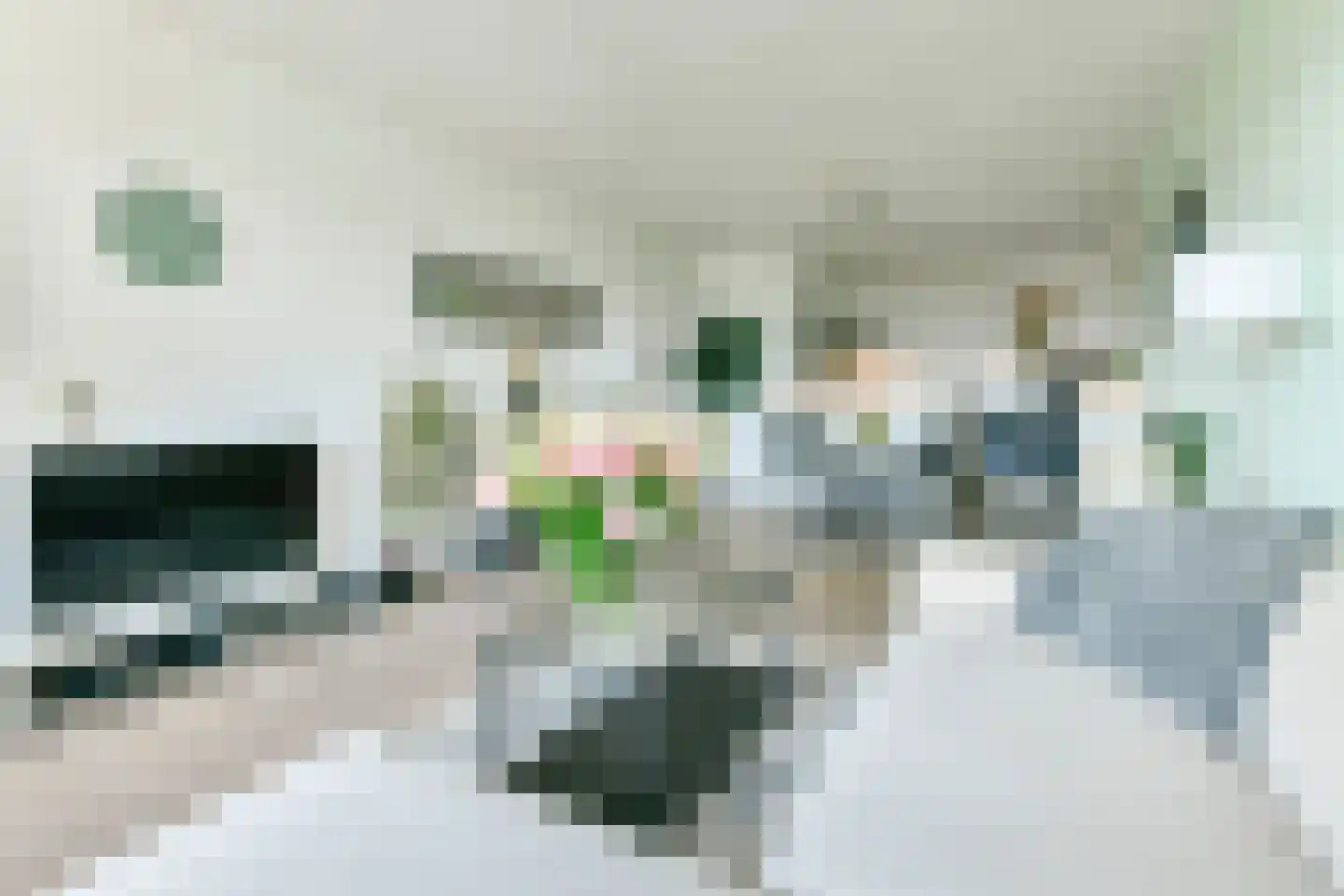 Nachtwachtlaan 119 Amsterdam thumbnail 6