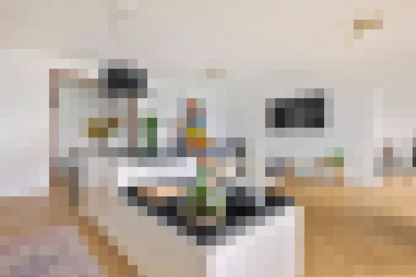 Nachtwachtlaan 120 Amsterdam thumbnail 11