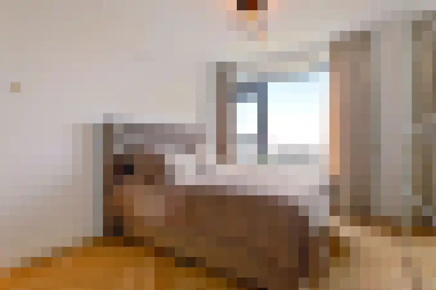 Nachtwachtlaan 120 Amsterdam thumbnail 22