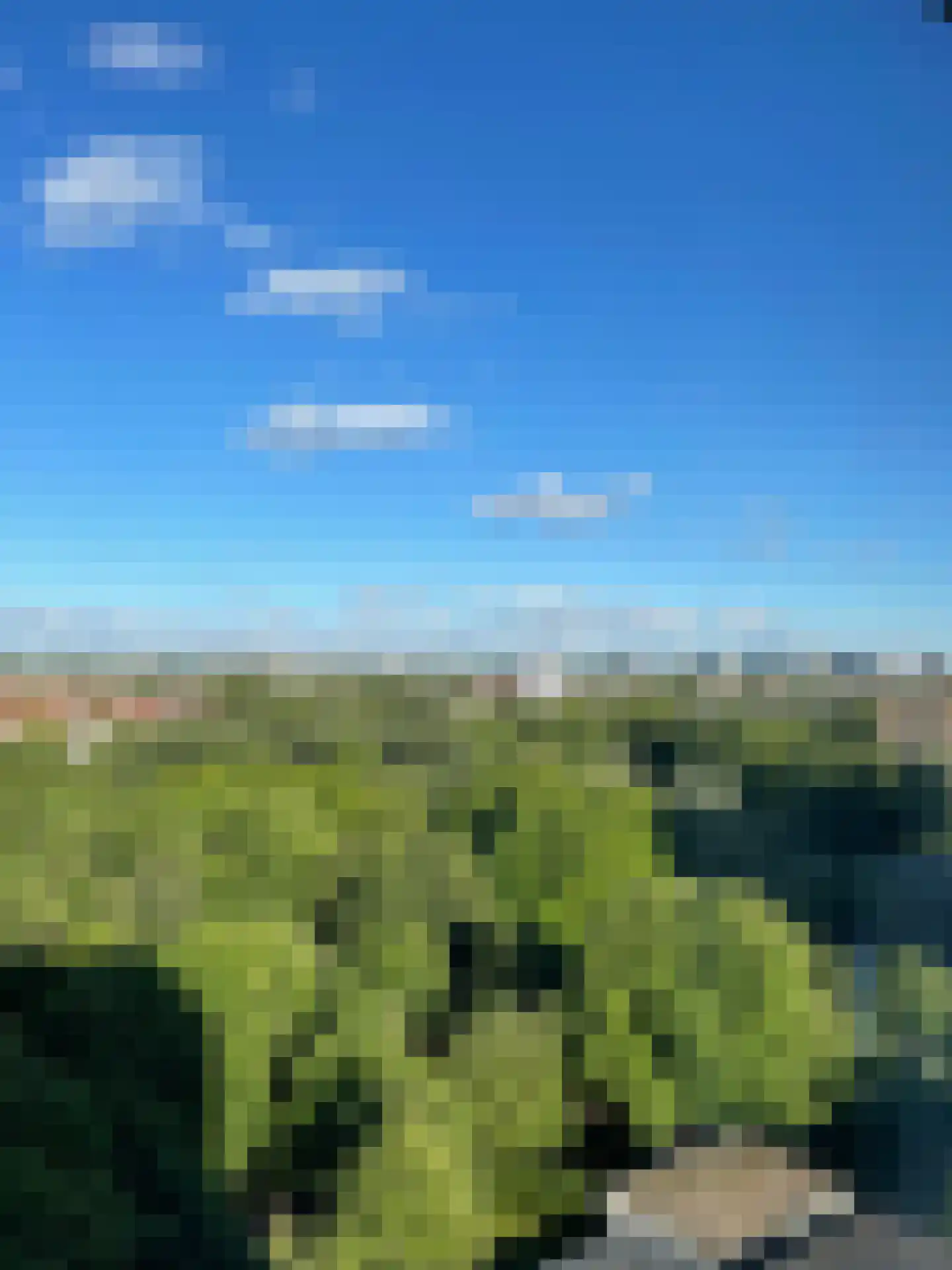 Nachtwachtlaan 120 Amsterdam thumbnail 32