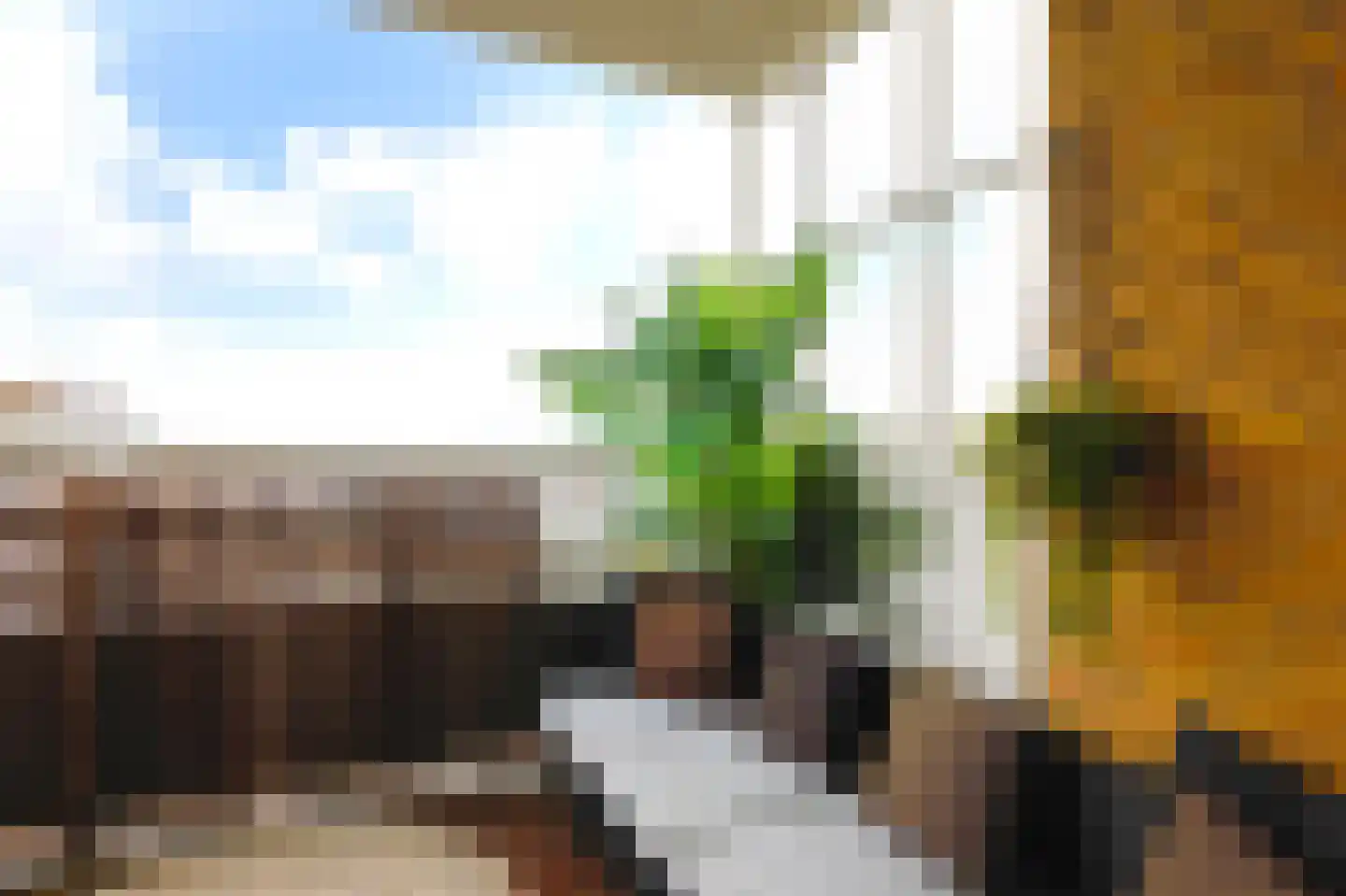 Nachtwachtlaan 120 Amsterdam thumbnail 40