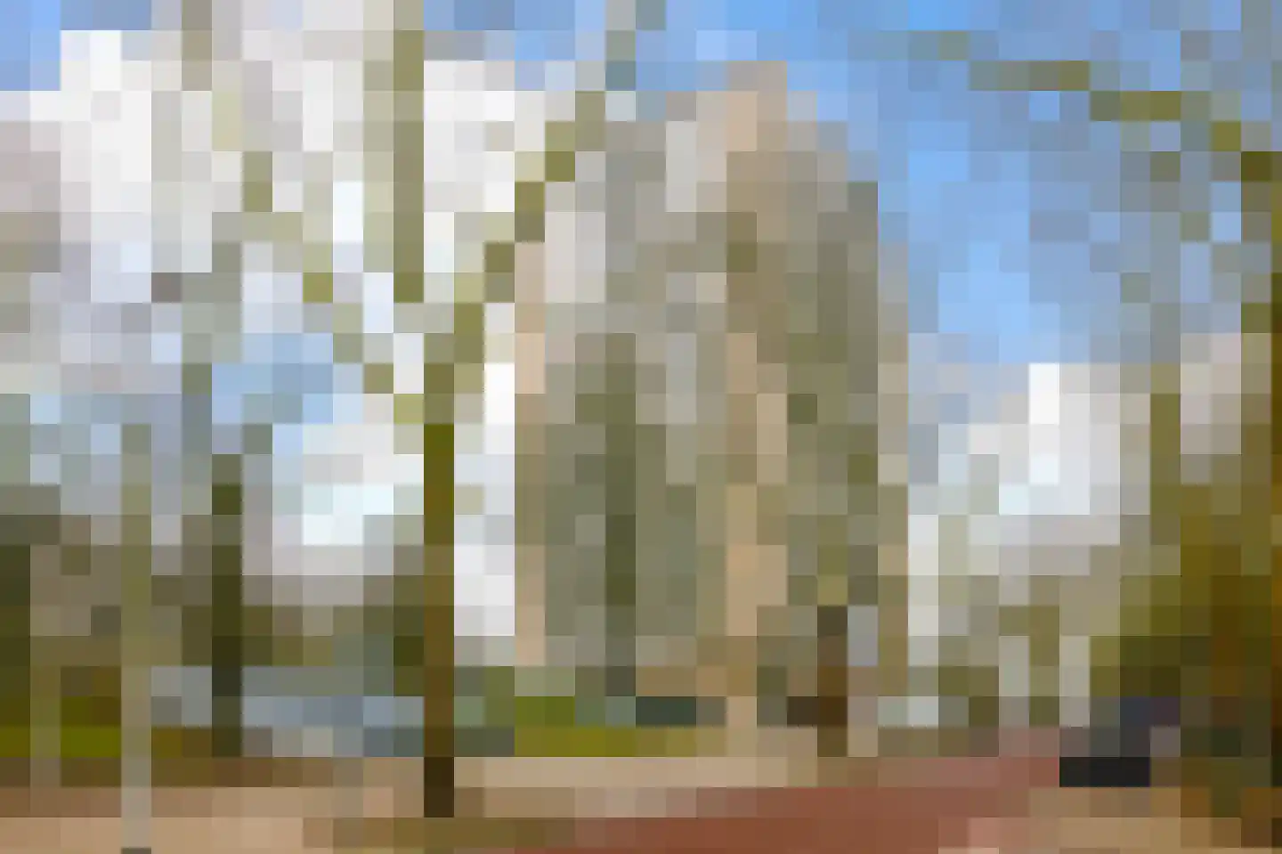 Nachtwachtlaan 120 Amsterdam thumbnail 43