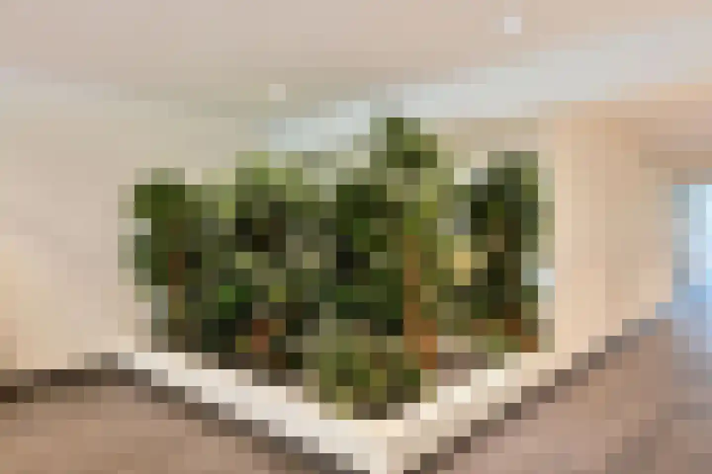 Nachtwachtlaan 122 Amsterdam thumbnail 22