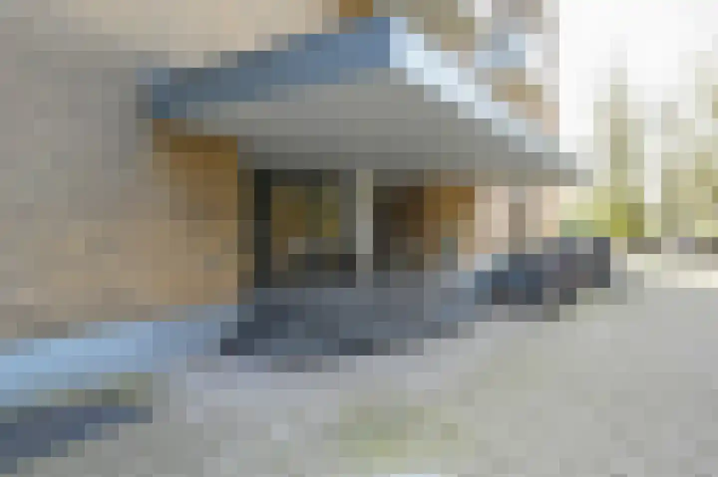 Nachtwachtlaan 122 Amsterdam thumbnail 26