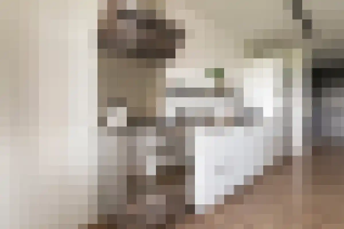 Nachtwachtlaan 122 Amsterdam thumbnail 5