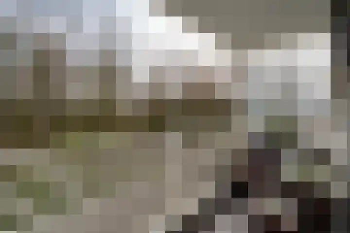 Nachtwachtlaan 145 Amsterdam thumbnail 20