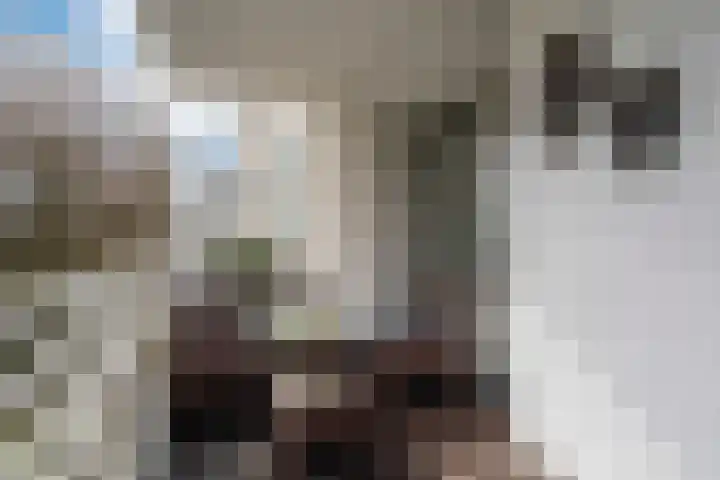 Nachtwachtlaan 145 Amsterdam thumbnail 21