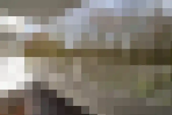 Nachtwachtlaan 145 Amsterdam thumbnail 22