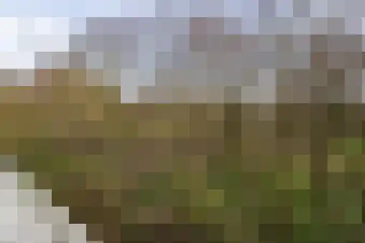Nachtwachtlaan 145 Amsterdam thumbnail 23