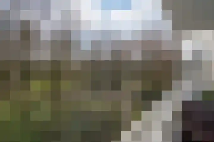Nachtwachtlaan 145 Amsterdam thumbnail 24