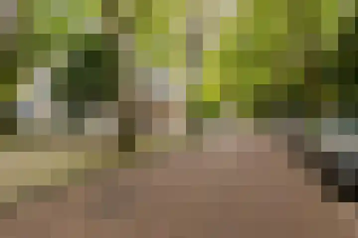 Nachtwachtlaan 145 Amsterdam thumbnail 29