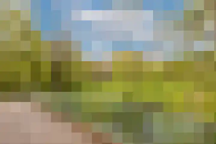 Nachtwachtlaan 145 Amsterdam thumbnail 30