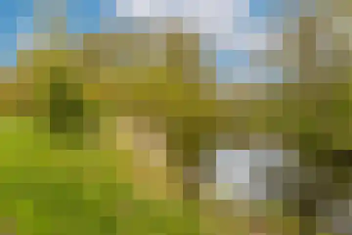 Nachtwachtlaan 145 Amsterdam thumbnail 31