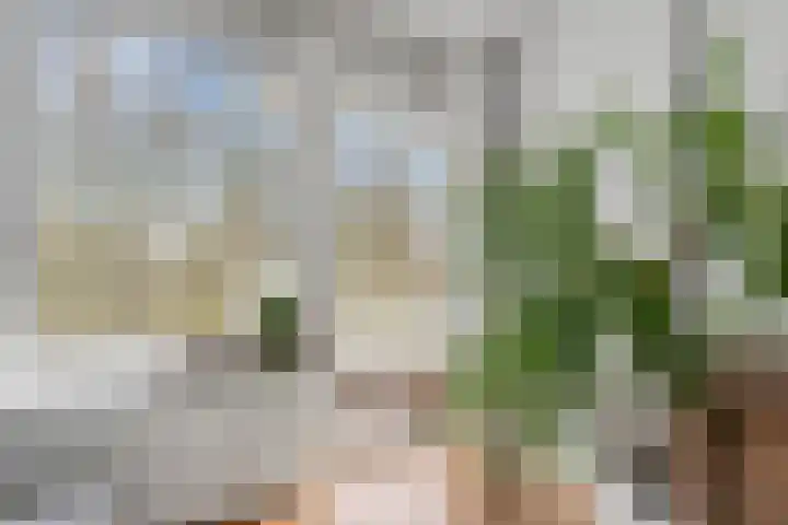 Nachtwachtlaan 145 Amsterdam thumbnail 7