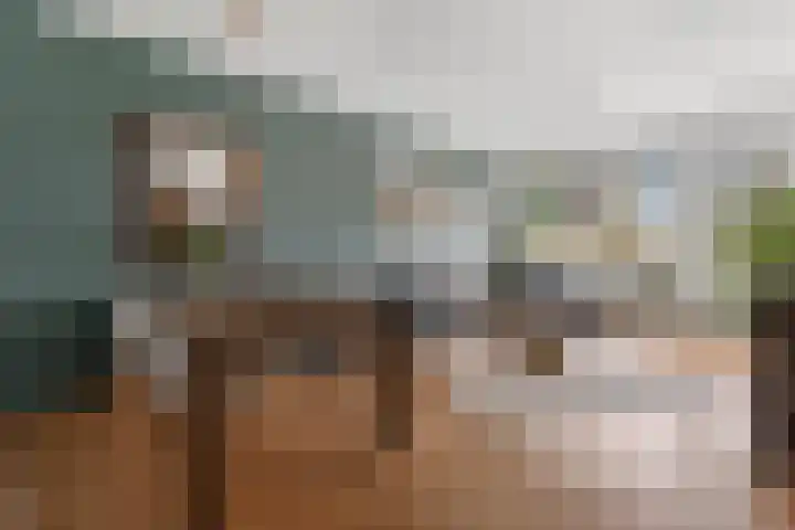 Nachtwachtlaan 145 Amsterdam thumbnail 9