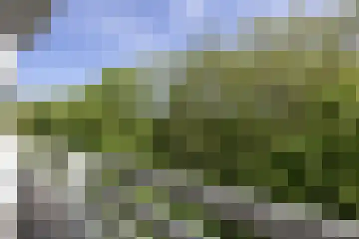 Nachtwachtlaan 151 Amsterdam thumbnail 30