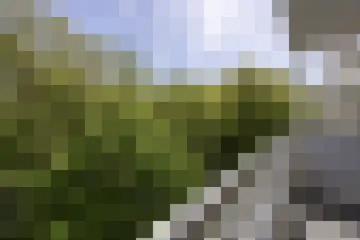 Nachtwachtlaan 151 Amsterdam thumbnail 31