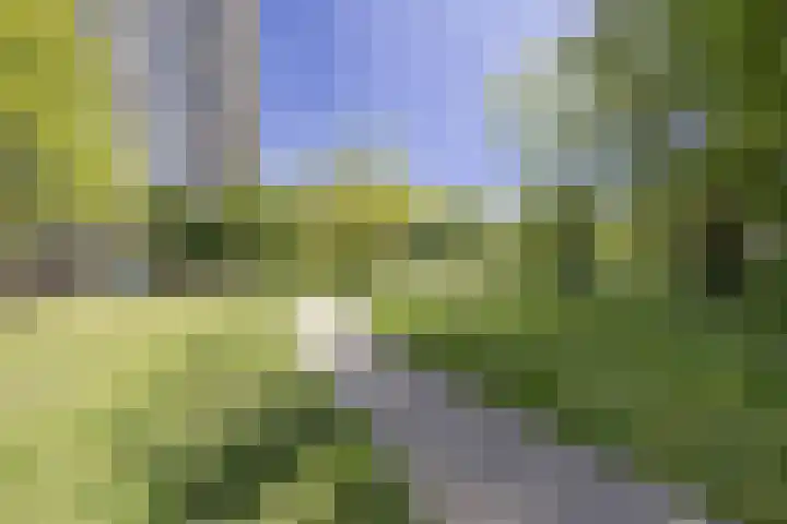Nachtwachtlaan 151 Amsterdam thumbnail 32